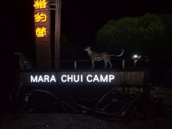 מלון Ololaimutiek Mara Chui Camp מראה חיצוני תמונה